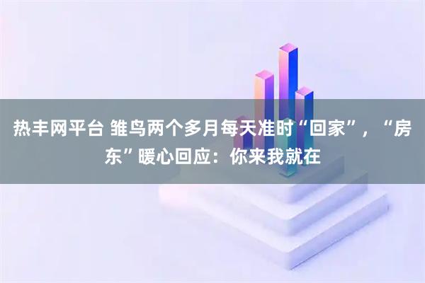 热丰网平台 雏鸟两个多月每天准时“回家”，“房东”暖心回应：你来我就在