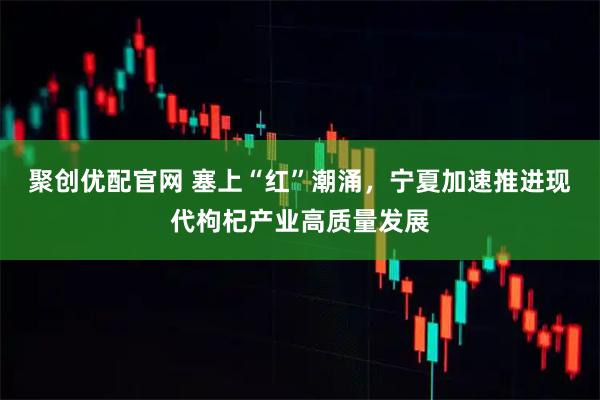聚创优配官网 塞上“红”潮涌,宁夏加速推进现代枸杞产业高质量发展