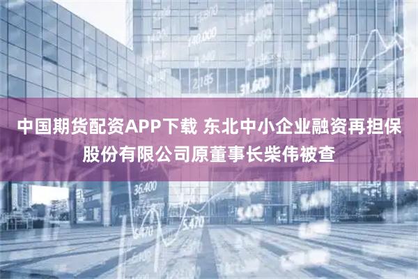中国期货配资APP下载 东北中小企业融资再担保股份有限公司原董事长柴伟被查